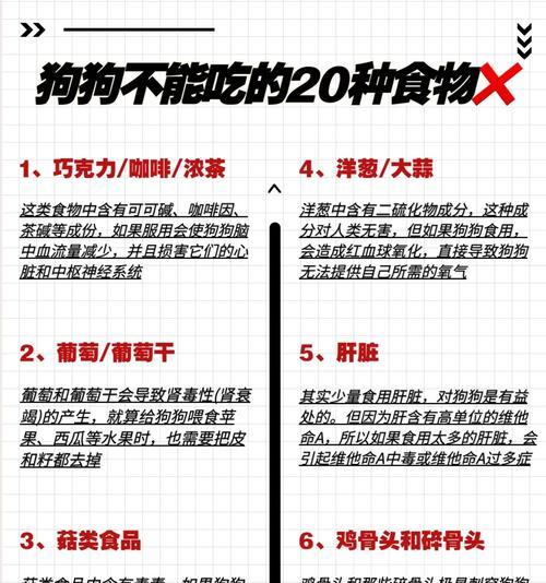 给狗狗喂骨头的好处（狗狗骨头食物的营养及健康优势）