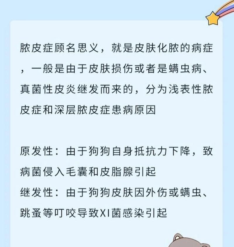 脓皮病的治疗方法（探索有效治疗脓皮病的策略与方法）