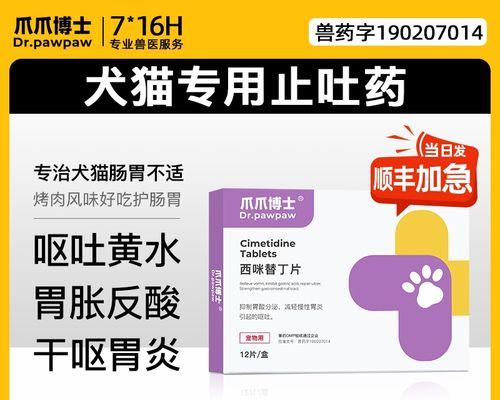 狗狗呕吐白沫应该用什么药？（解决宠物呕吐问题的正确药物选择）