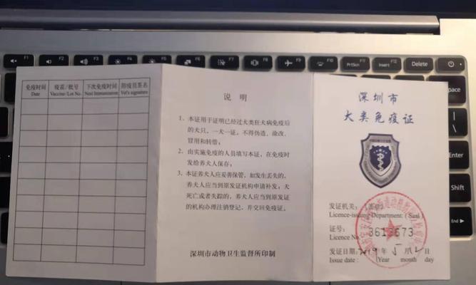 关于第二年狗狗疫苗的重要性（保护宠物健康的必要步骤和关键知识）