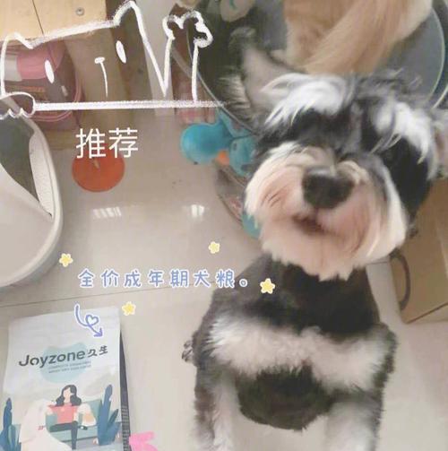 小狗秃毛的治疗方法及推荐药物（治愈小狗秃毛，让它重获美丽毛发的秘诀！）