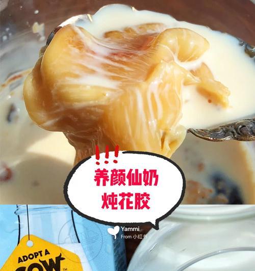 为什么吃不饱？（探讨饮食习惯、食物选择和消化问题）