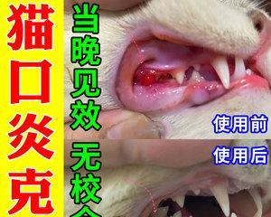 宠物口腔炎的治疗方法探究（了解宠物口腔炎症状与预防，选择合适的药物治疗）