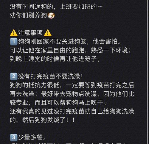 新手养狗必读（从接回宝贝到培养健康习惯，你需要知道的关键要点）