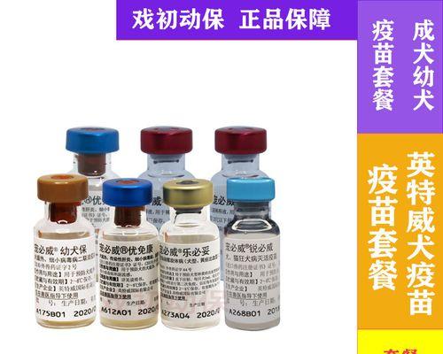 英特威四联疫苗接种后的进一步防护措施（为您详解英特威四联疫苗接种后需注意的其他疫苗和防护措施）