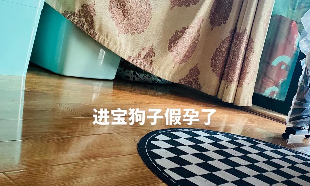 解析狗狗假孕（揭秘狗狗假孕的成因、如何判断狗狗是否患上假孕以及如何正确应对）