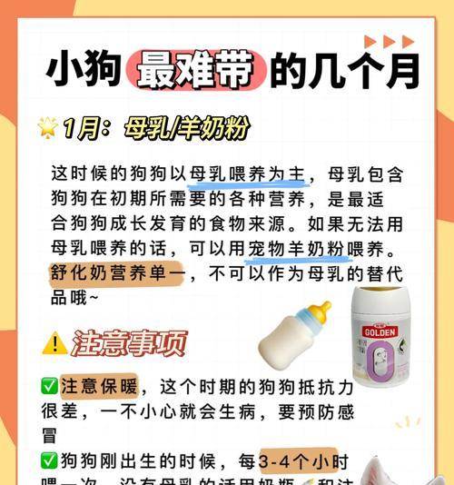 选择合适的季节养幼犬（为什么选择适宜的季节养幼犬？及相关注意事项）