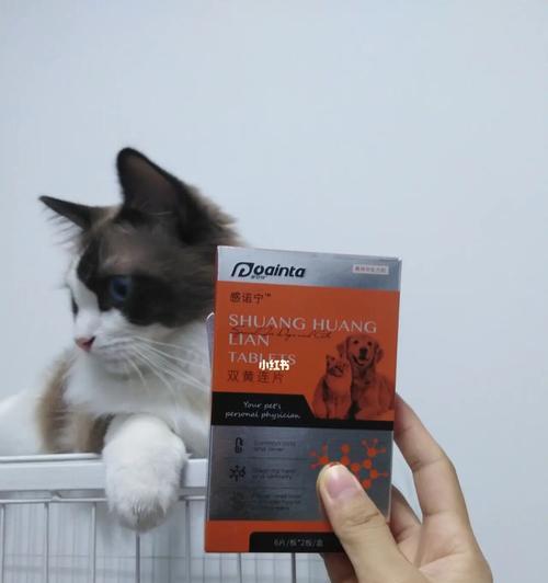 猫胸积水治疗药物与护理指南（了解猫胸积水的原因及药物治疗方案，帮助宠物恢复健康）