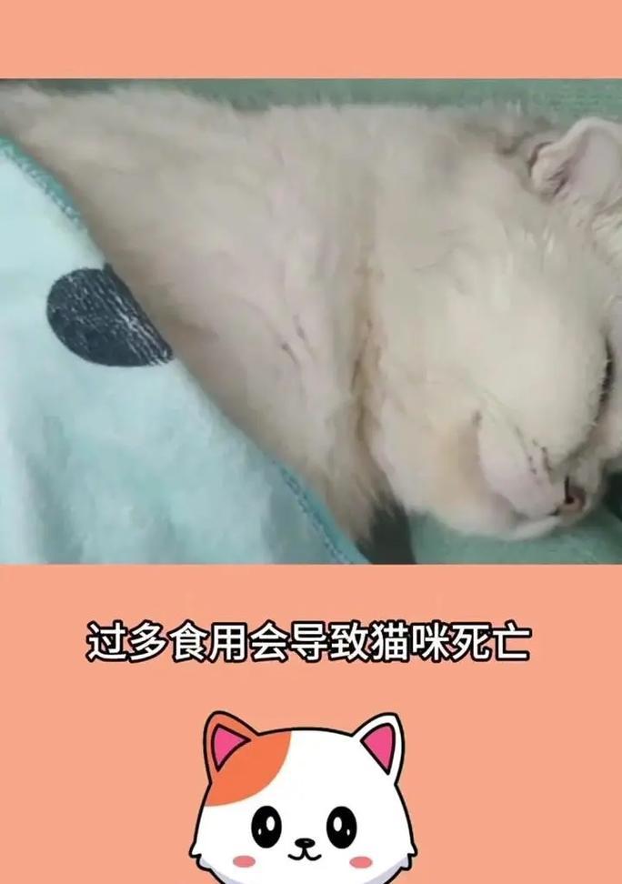 救救猫咪！解决不吃东西的药物困扰（猫咪健康饮食的关键在于这些药物）