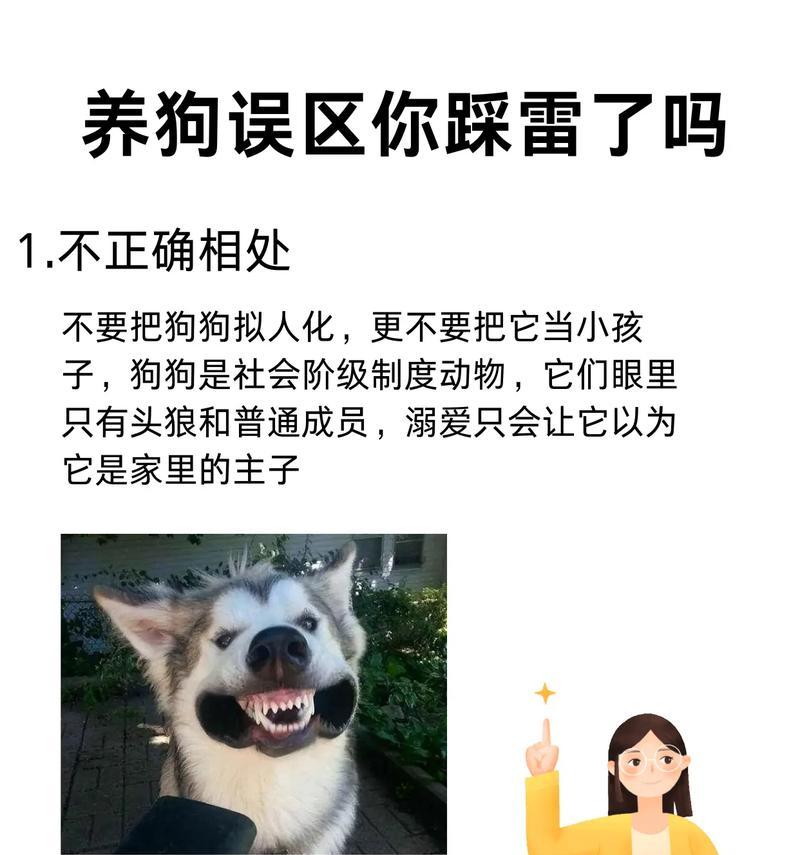 以人养狗（揭开以人养狗的健康秘密，狗主人们必看！）