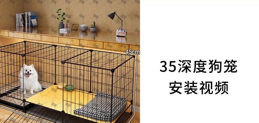 狗狗打针狗笼，让宠物免疫更安全（选择适合的狗笼，为宠物健康保驾护航）
