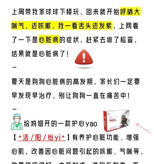 探究狗狗喘的原因及应对方法（揭秘狗狗喘的原因，帮助宠物主人改善狗狗呼吸问题）
