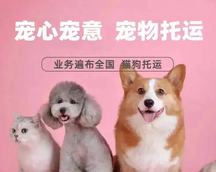寄送宠物的注意事项（准备充分，确保宠物安全送达）