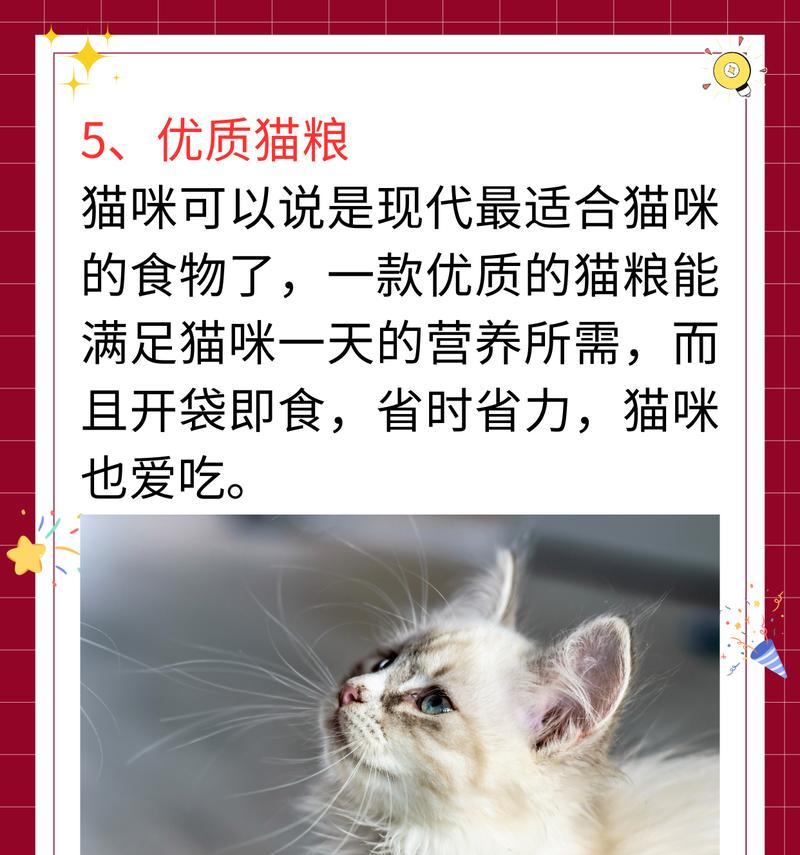 猫咪不舒服吃什么食物？（关于猫咪健康饮食的重要性和可选食物建议）