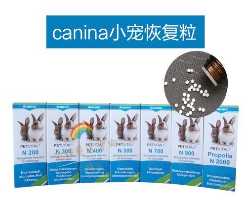 仓鼠感冒了可以吃什么药？（给你的仓鼠正确的治疗方法和药物选择！）