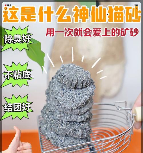 猫吃什么便便不臭？（探索猫咪健康饮食的关键）