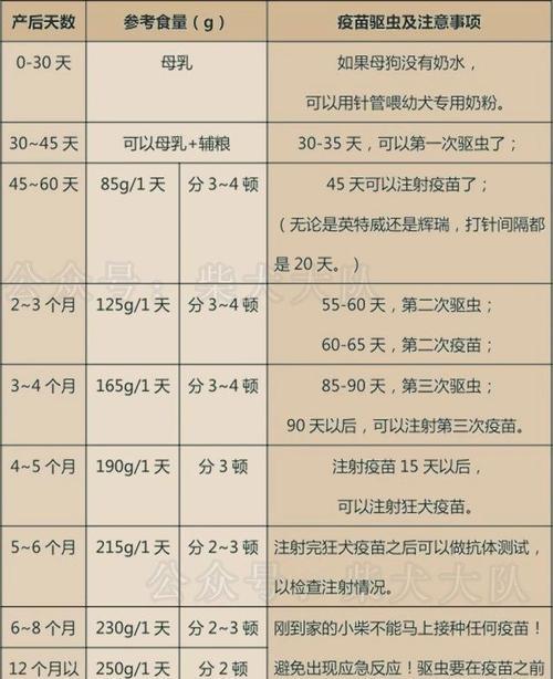 小狗育苗（探讨小狗育苗的最佳时机）