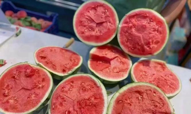 夏日狗狗饮食指南（科学喂养保护你的毛孩）