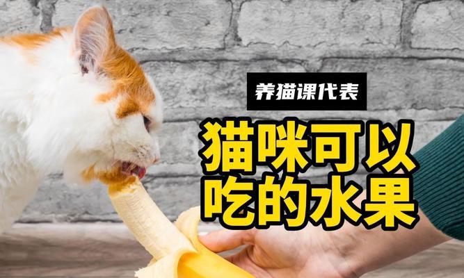 猫咪的饮食禁忌与推荐水果（了解猫咪不能吃的水果及适合它们的健康选择）