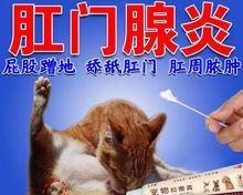 狗狗肛门肿瘤的药物治疗方案（选择适合狗狗的肛门肿瘤药物进行治疗）