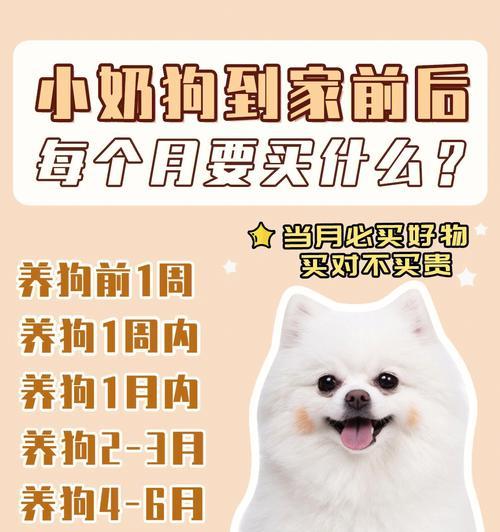 以狗生产注意什么（养狗繁殖的关键事项）