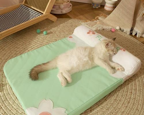夏天小猫的最佳睡眠环境（打造一个舒适凉爽的猫窝让夏天小猫美美地睡个好觉）