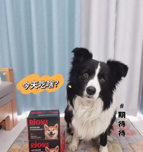 狗的健康与饮食——身体之谜（以狗长身体吃什么？饮食要如何搭配？）