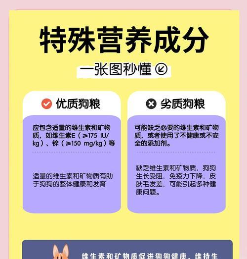 狗粮质量保鲜之道（探索狗粮保存的时间限制与关键因素）