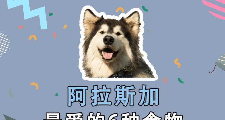 阿拉斯加犬的饮食指南（了解你的宠物）
