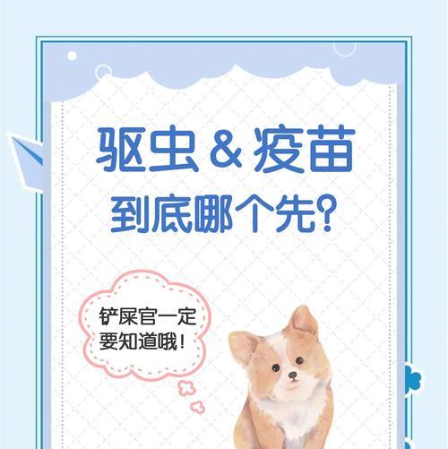 狗狗打完疫苗后的不适状况及缓解方法（了解狗狗打完疫苗后可能的不适状况及如何帮助其缓解）