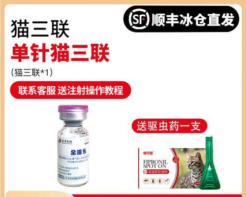 小猫防疫针（宠物养护指南及免疫力提升关键）