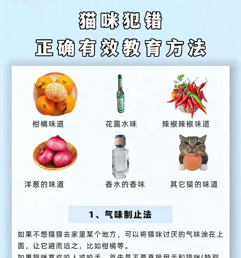猫的行为惩罚方法探究（了解猫的行为问题并寻找合适的解决方法）