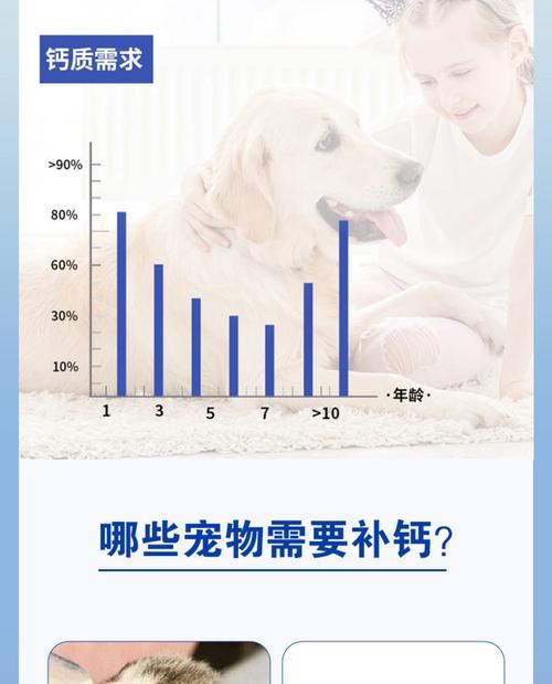 合理喂养狗狗的钙片，让它健康成长（钙片的正确喂养方法与注意事项）