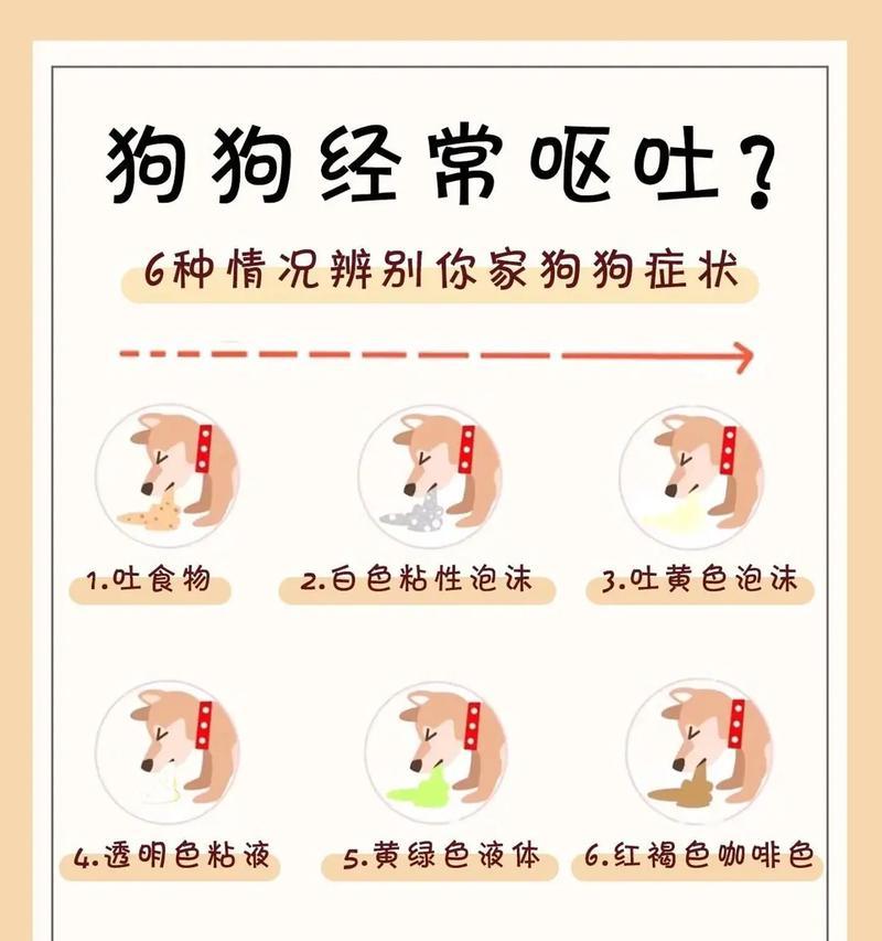狗狗呕吐的原因及应对方法（探究狗狗三个月内呕吐的原因及应对方法）