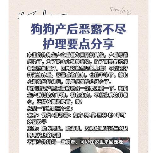 狗狗怀孕多久可以打胎？（狗狗打胎相关注意事项及保健方法）