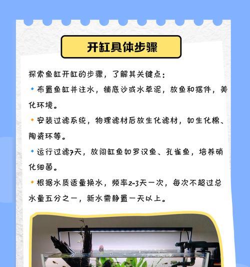 海水缸的饲养之水的喂养频率（探讨海水缸中水的喂养频率对生态系统的影响）