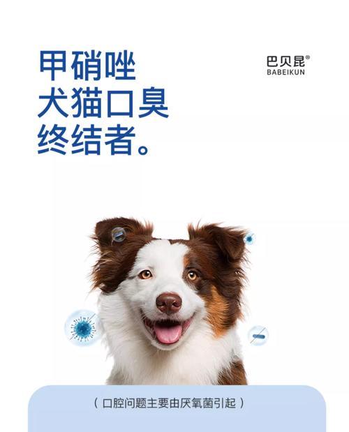 狗吃药后多久会排出寄生虫？（探究药物对狗体内寄生虫的排除时间）