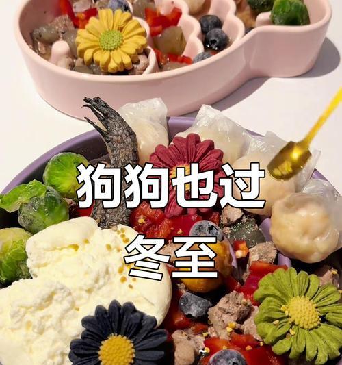 幼犬需要吃幼犬粮多久？（了解幼犬饮食需求，帮助宠物健康成长）
