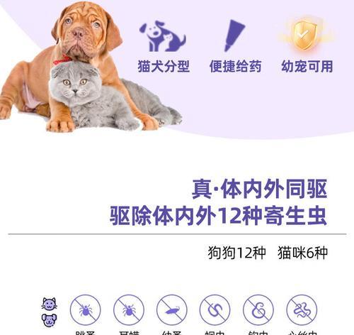 幼犬疫苗后的驱虫药物应用时机（合理选择驱虫时机，为幼犬健康保驾护航）