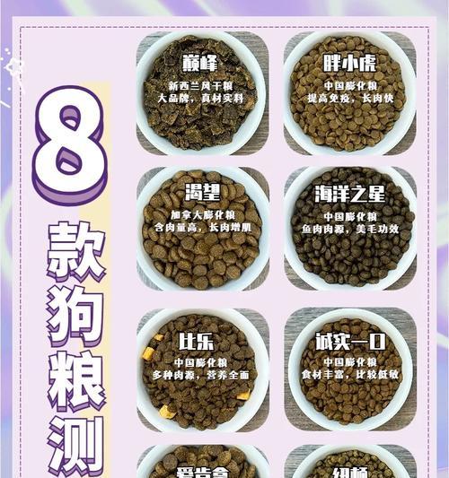 如何饲养柯基幼犬（全面指南，让你成为柯基犬的贴心主人）