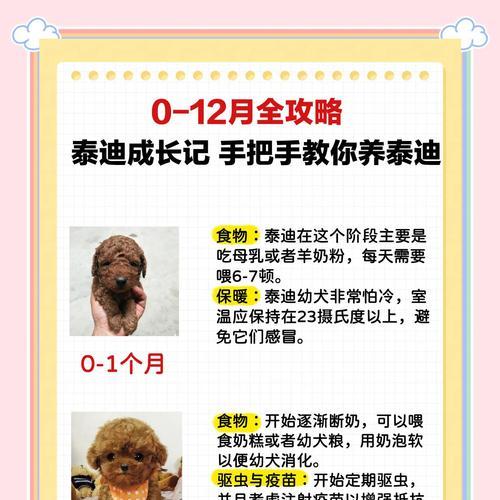 为什么要给泰迪犬剃胎毛？（合适的时机和方法是什么？）