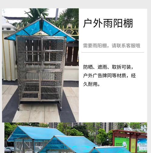 了解中国鸟笼的品种，选对鹦鹉笼才能保障宠物健康