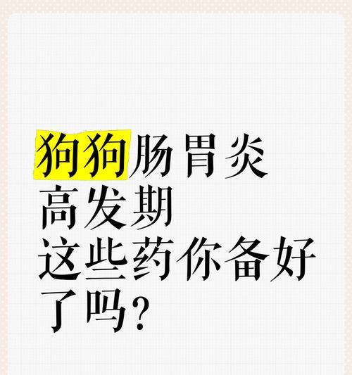 小狗狗肠炎的康复时间究竟需要多久？（了解小狗狗肠炎的治疗时间和关键因素）