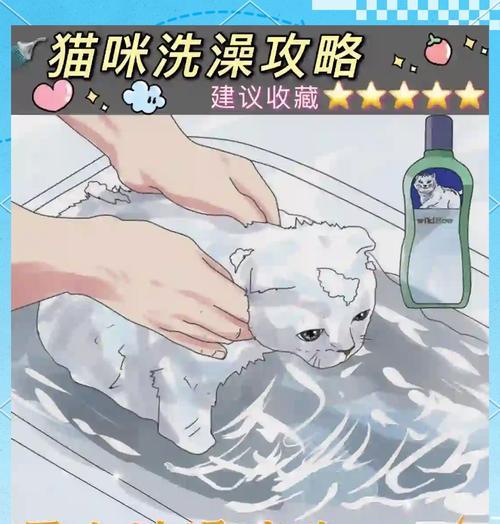 如何正确给猫咪洗澡？-与铲屎官战胜猫咪的洗澡抗拒（猫咪对洗澡的不爱有多深？如何让洗澡过程更顺利？）