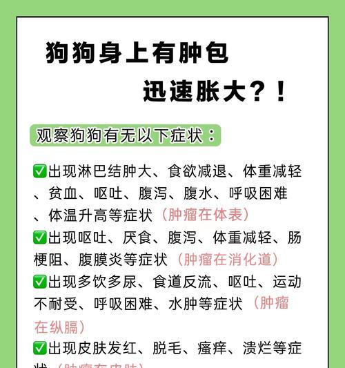 狗的肝病症状及其意义（了解狗的肝病症状，早发现早治疗）