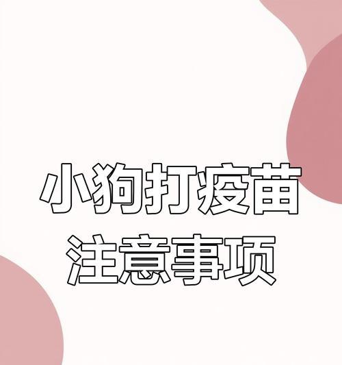 小狗何时可以接种疫苗？（疫苗接种时间表及注意事项）