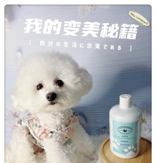 泰迪犬出生多久可以洗澡？（探索泰迪犬洗澡的最佳时机和注意事项）