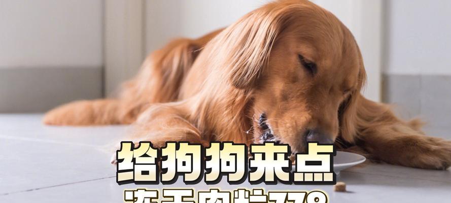 煮肉时间的重要性——保障狗狗健康的关键（合理煮肉时间，让狗狗更健康）