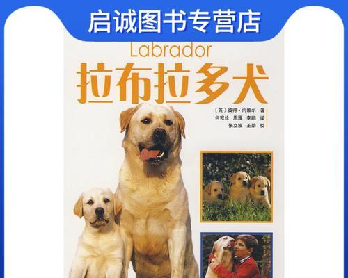 拉布拉多犬——忠诚友善的家庭宠物（了解拉布拉多犬的特点和饲养要点）
