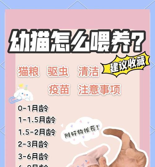 小猫出生后多久需要人工喂养？（了解小猫喂养时间，给它最好的关怀）